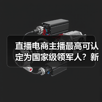 直播电商主播最高可认定为国家级领军人?新政解读(图4) 直播电商主播最高可认定为国家级领军人?新政解读(图4)