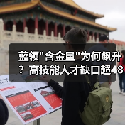 蓝领 蓝领