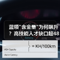 蓝领 蓝领