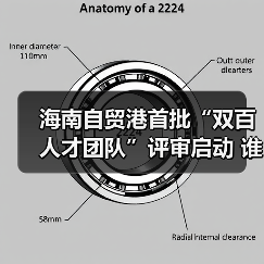 海南自贸港首批“双百人才团队”评审启动 谁将引领高质量发展?(图3) 海南自贸港首批“双百人才团队”评审启动 谁将引领高质量发展?(图3)