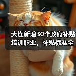 大连新增30个政府补贴培训职业,补贴标准全面上调(图1) 大连新增30个政府补贴培训职业,补贴标准全面上调(图1)