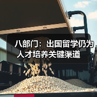 八部门:出国留学仍为人才培养关键渠道(图2) 八部门:出国留学仍为人才培养关键渠道(图2)