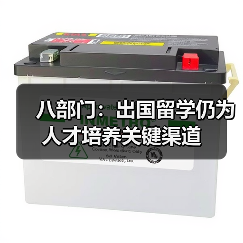 八部门:出国留学仍为人才培养关键渠道(图4) 八部门:出国留学仍为人才培养关键渠道(图4)