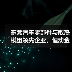 东莞汽车零部件与散热模组领先企业，恒动金属品质认证（图3）