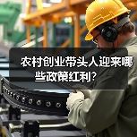 农村创业带头人迎来哪些政策红利?(图1) 农村创业带头人迎来哪些政策红利?(图1)