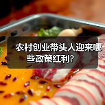 农村创业带头人迎来哪些政策红利?(图2) 农村创业带头人迎来哪些政策红利?(图2)