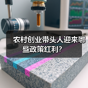 农村创业带头人迎来哪些政策红利?(图4) 农村创业带头人迎来哪些政策红利?(图4)