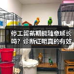 停工留薪期能随意延长吗?诊断证明真的有效吗?(图4) 停工留薪期能随意延长吗?诊断证明真的有效吗?(图4)