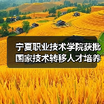 宁夏职业技术学院获批国家技术转移人才培养基地(图1) 宁夏职业技术学院获批国家技术转移人才培养基地(图1)