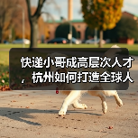 快递小哥成高层次人才,杭州如何打造全球人才蓄水池?(图3) 快递小哥成高层次人才,杭州如何打造全球人才蓄水池?(图3)