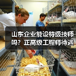 山东企业能设特级技师吗？正高级工程师待遇如何落实？（图1）