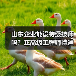 山东企业能设特级技师吗？正高级工程师待遇如何落实？（图3）