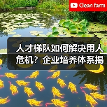 人才梯队如何解决用人危机？企业培养体系揭秘（图3）