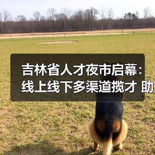 吉林省人才夜市启幕：线上线下多渠道揽才 助力就业创业（图1）