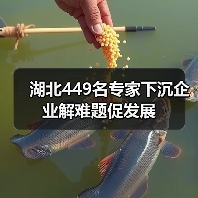 湖北449名专家下沉企业解难题促发展（图1）