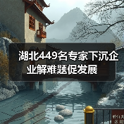 湖北449名专家下沉企业解难题促发展（图2）