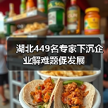 湖北449名专家下沉企业解难题促发展（图4）