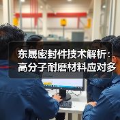 东晟密封件技术解析:高分子耐磨材料应对多样工业需求(图4) 东晟密封件技术解析:高分子耐磨材料应对多样工业需求(图4)