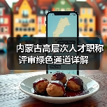 内蒙古高层次人才职称评审绿色通道详解（图4）