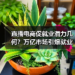 直播电商促就业潜力几何?万亿市场引爆就业新蓝海(图2) 直播电商促就业潜力几何?万亿市场引爆就业新蓝海(图2)