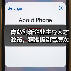 青岛创新企业主导人才政策，精准吸引高层次人才（图3）