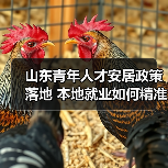 山东青年人才安居政策落地 本地就业如何精准引才？（图2）