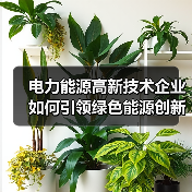 电力能源高新技术企业如何引领绿色能源创新高增长？（图2）