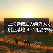 上海新政助力海外人才创业落地 4+1组合拳释放哪些机遇？（图1）