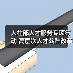 人社部人才服务专项行动 高层次人才薪酬改革如何落地?(图4) 人社部人才服务专项行动 高层次人才薪酬改革如何落地?(图4)