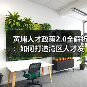 黄埔人才政策2.0全解析:如何打造湾区人才发展新高地?(图2) 黄埔人才政策2.0全解析:如何打造湾区人才发展新高地?(图2)