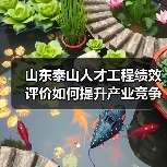 山东泰山人才工程绩效评价如何提升产业竞争力？（图1）