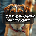 宁夏出台多项政策破解基层人才流动难题(图3) 宁夏出台多项政策破解基层人才流动难题(图3)