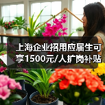 上海企业招用应届生可享1500元/人扩岗补贴，如何精准发放？（图1）