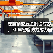 东莞精密五金制造专家，30年经验助力成为国际品牌一级供应商（图1）