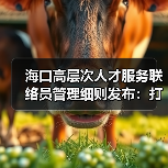 海口高层次人才服务联络员管理细则发布：打造精准服务新优势（图2）