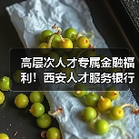高层次人才专属金融福利！西安人才服务银行一站式解决方案（图2）