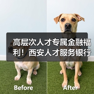 高层次人才专属金融福利！西安人才服务银行一站式解决方案（图1）