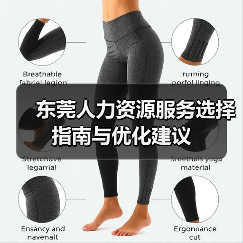 东莞人力资源服务选择指南与优化建议（图4）