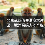 北京或效仿粤港澳大湾区,境外高端人才个税最高15%?(图1) 北京或效仿粤港澳大湾区,境外高端人才个税最高15%?(图1)