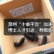 泉州“十条干货”加速博士人才引进,有哪些实招?(图1) 泉州“十条干货”加速博士人才引进,有哪些实招?(图1)