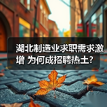 湖北制造业求职需求激增 为何成招聘热土？（图2）