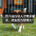 超六成行业人才需求增长，就业压力却增大？人才供求报告解析（图1）
