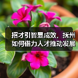 招才引智显成效,抚州如何借力人才推动发展?(图2) 招才引智显成效,抚州如何借力人才推动发展?(图2)
