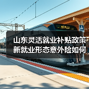 山东灵活就业补贴政策 新就业形态意外险如何保障？（图1）