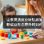 山东灵活就业补贴政策 新就业形态意外险如何保障？（图4）