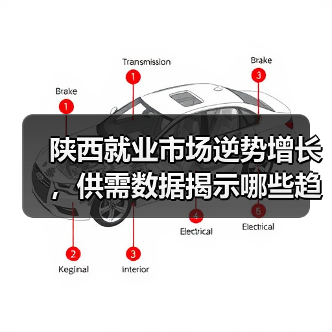 陕西就业市场逆势增长，供需数据揭示哪些趋势？（图2）