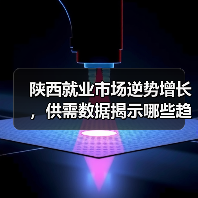 陕西就业市场逆势增长，供需数据揭示哪些趋势？（图3）