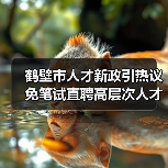 鹤壁市人才新政引热议 免笔试直聘高层次人才(图3) 鹤壁市人才新政引热议 免笔试直聘高层次人才(图3)