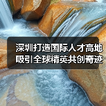 深圳打造国际人才高地吸引全球精英共创奇迹（图1）