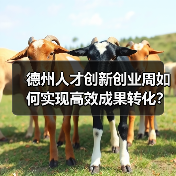 德州人才创新创业周如何实现高效成果转化?(图3) 德州人才创新创业周如何实现高效成果转化?(图3)